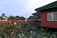Firefly Park Resort , Kuala Selangor