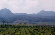 Gunung Jerai - Kedah