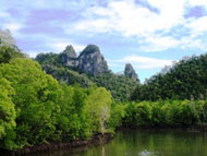 Mangrove and Limestone Cruise - Pulau Langkawi