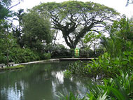 Tropical Spice Garden, Penang