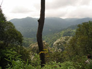 Climbing Gunung Tahan