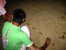 measuring the tracks and nest sites