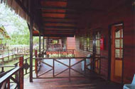 ilit Rainforest Lodge, Kinabatangan