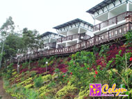 Celyn Resort Kinabalu~ Kundasang, Mt Kinabalu