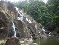 Endau Rompin National Park