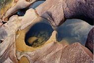 Trekking at Endau Rompin National Park 