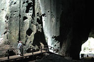 Gomantong Cave - Sabah, Borneo