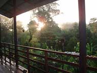 KuraKura Jungle Homestay 
