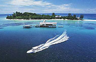 Lankayan Island - Sabah, Borneo