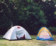 Merapoh Taman Negara 