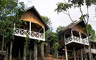 Myne Resort Bilit , Kinabatangan