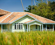 Temple Tree at BonTon, Langkawi