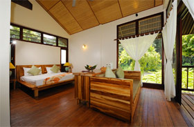 standard jungle view