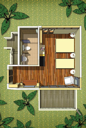 standard jungle view