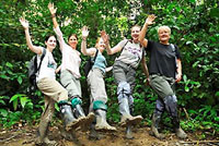 volunteer to rebuild a rainforest