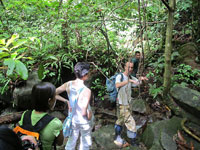 trekking in janda baik with a conservationist