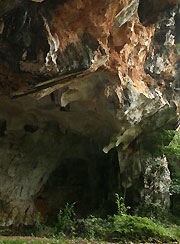 gua kandu