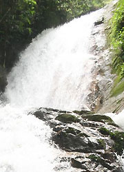 waterfall nearby