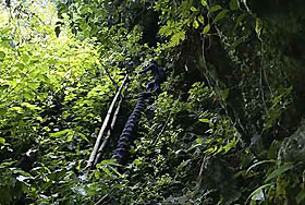 climbing to the cave entrance