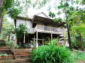 back view of Olivia's bungalow