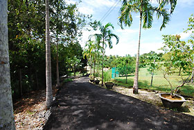 driving into the farm on a newly tarred road