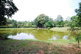fish pond