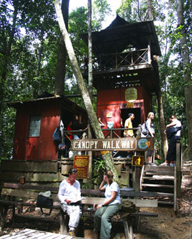 canopy walk entrance
