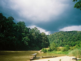 rains in taman negara