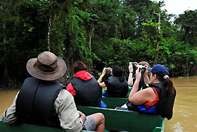 down the kinabatangan river