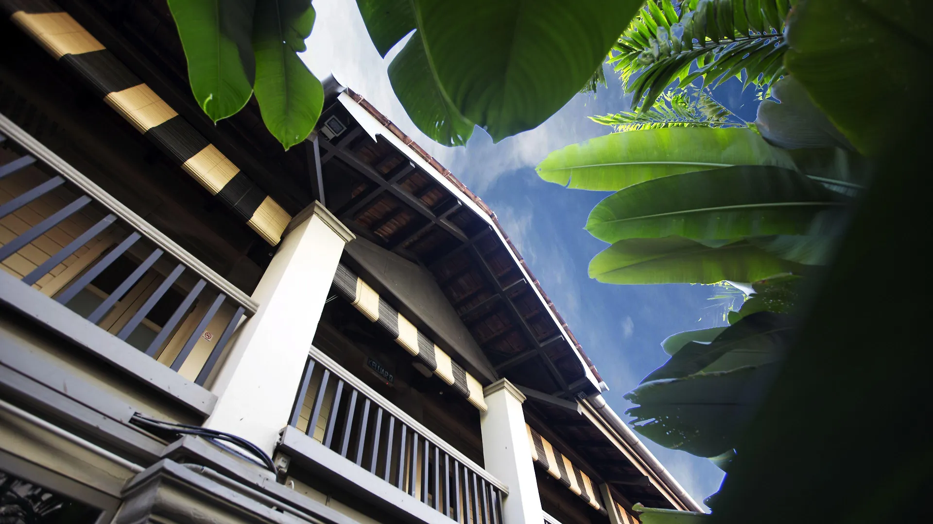 Staying Near Penang Botanical Gardens: 14 Design Hotels Compared
