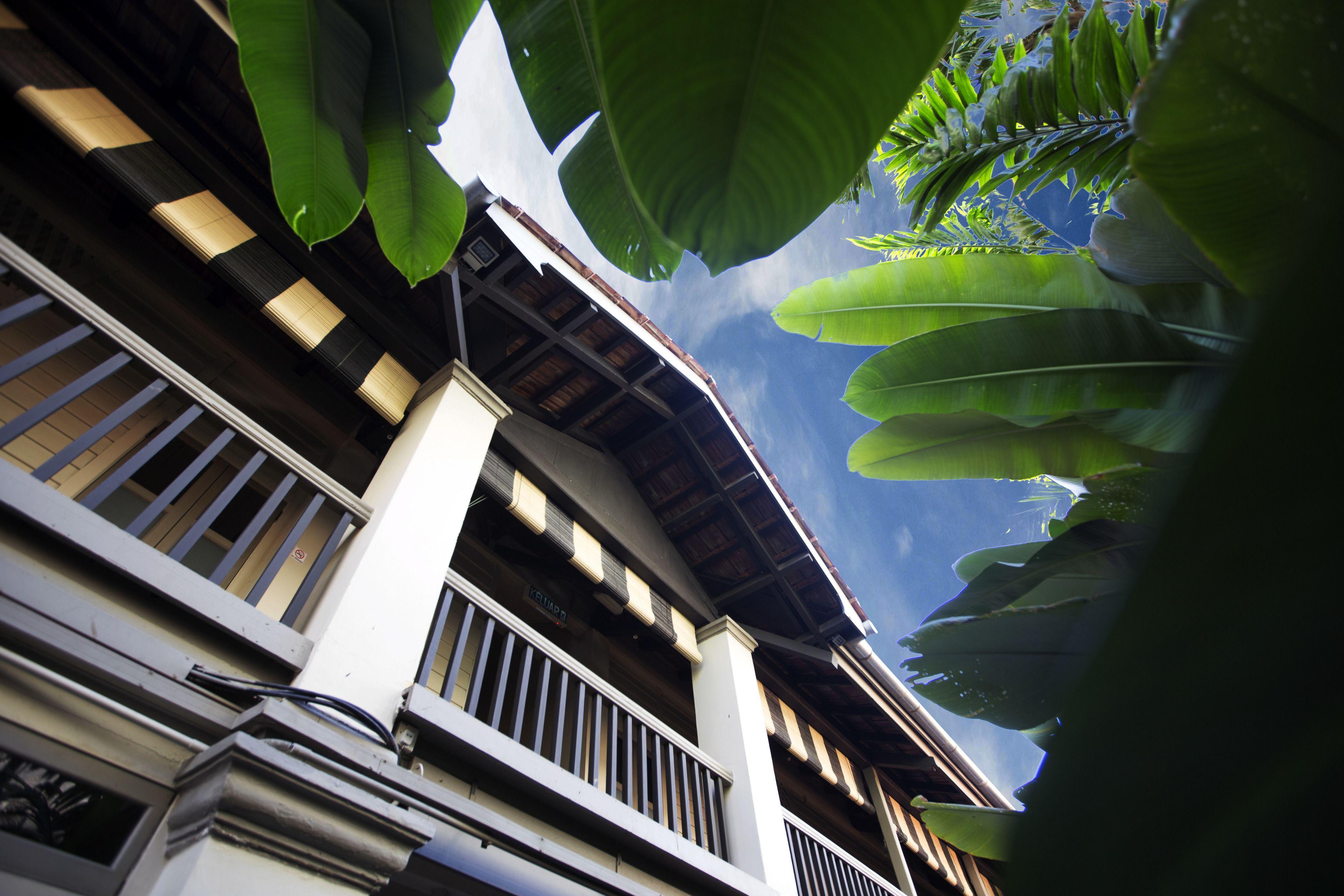 Staying Near Penang Botanical Gardens: 14 Design Hotels Compared